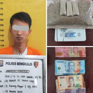Nekat Edarkan Mariyuana, Mr Gelek Ditangkap Polisi di Karang Anyer Duri